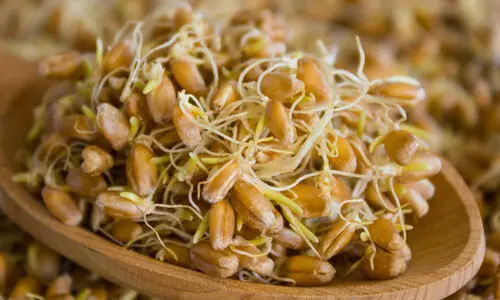 ധാന്യങ്ങൾ മുളപ്പിച്ച് കഴിച്ചാൽ ഗുണങ്ങൾ ഇരട്ടി!