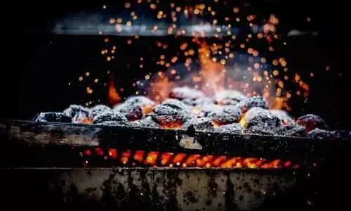 ശക്തമായ തണുപ്പ് തുടരുന്നു; കരി വിപണി സജീവം