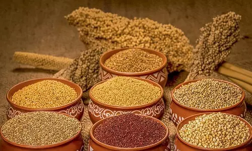 സൂപ്പർ ഫുഡാണെന്ന് കരുതി വാരിക്കോരി കഴിക്കണ്ട; മില്ലറ്റുകൾ വില്ലനാവുന്നത് എപ്പോൾ​?