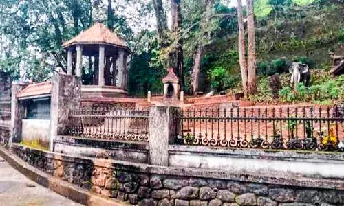 അവഗണനയുടെ സ്മാരകമായി കൊലുമ്പൻ സമാധി