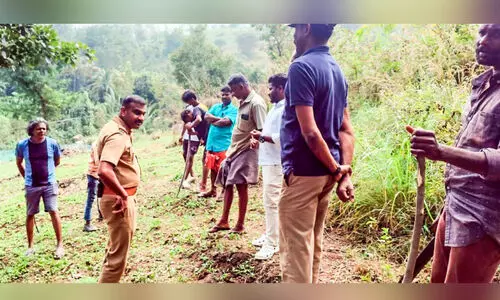 കട്ടിയനാട്ടിൽ പുലി; നാട്ടുകാർ ഭീതിയിൽ കട്ടിയനാട്ടിൽ പുലി; നാട്ടുകാർ ഭീതിയിൽ