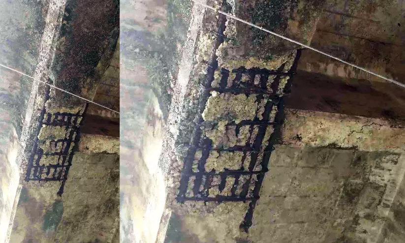 തോട്ടുമുക്ക് പാലം അപകടാവസ്ഥയിൽ; തുരുമ്പിച്ച കമ്പികൾ പുറത്ത് തോട്ടുമുക്ക് പാലം അപകടാവസ്ഥയിൽ; തുരുമ്പിച്ച കമ്പികൾ പുറത്ത്