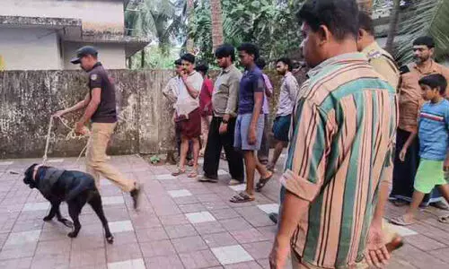 ബി.പി അങ്ങാടിയിൽ മൂന്ന് വീടുകളിൽ കവർച്ച; ഏഴര ലക്ഷം രൂപയും ഏഴുപവനും കവർന്നു