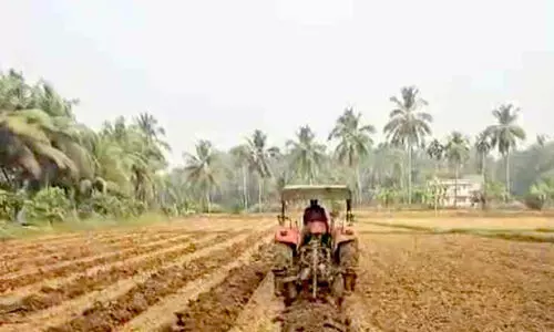 നൂതന സാങ്കേതികവിദ്യയിൽ പൈതൃകസംഘത്തിന്റെ തണ്ണിമത്തൻ കൃഷി