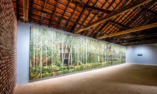 മാഞ്ഞുപോകുന്ന പച്ചപ്പും മലബാറിന്റെ നൊമ്പരവും..., ഷാജിത്തിന്റെ വിസ്മയക്കാഴ്ചകൾ മാഞ്ഞുപോകുന്ന പച്ചപ്പും മലബാറിന്റെ നൊമ്പരവും..., ഷാജിത്തിന്റെ വിസ്മയക്കാഴ്ചകൾ