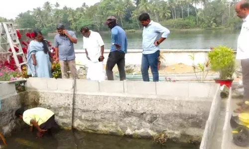 അ​ന​ധി​കൃ​ത ക​ണ​ക്ഷ​ൻ വ​ഴി കു​ടി​വെ​ള്ള​മൂ​റ്റ​ൽ; വീ​ട്ടു​ട​മ​ക്ക് 1.36 ല​ക്ഷം രൂപ പി​ഴ