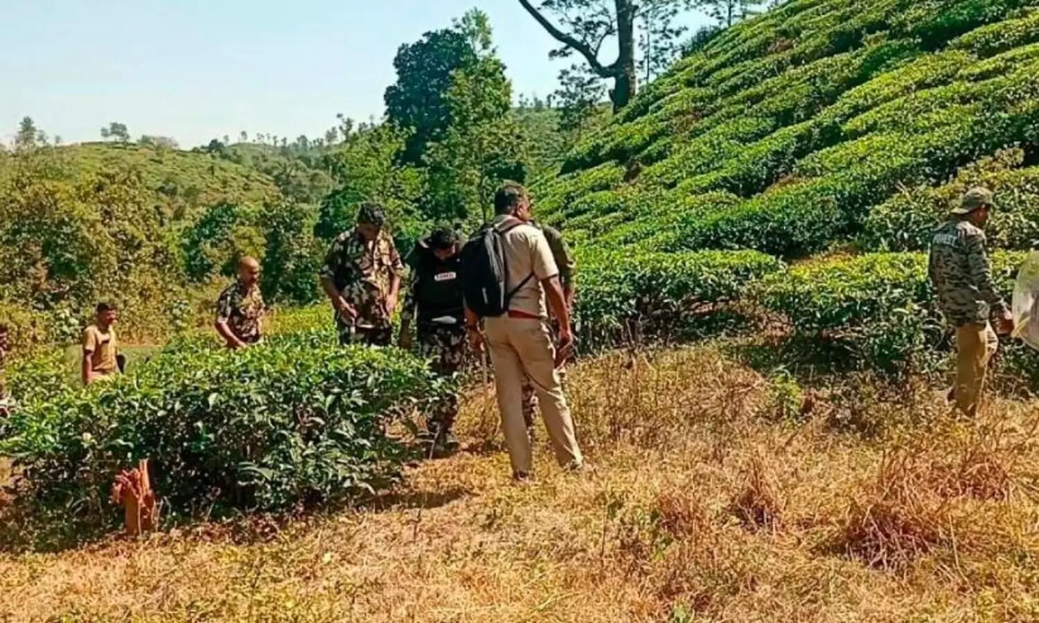 ചിറക്കരയിൽ കടുവ സാന്നിധ്യം; വനം വകുപ്പ് കാമറ സ്ഥാപിച്ചു