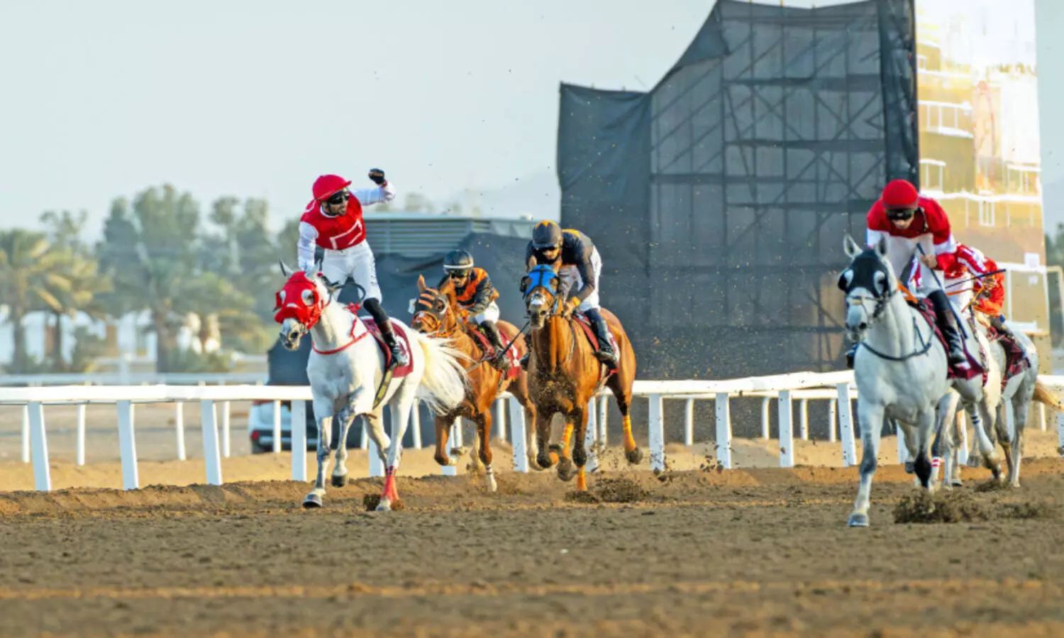 ബർകയിൽ ആവേശമുണർത്തി കുതിരയോട്ട മത്സരം