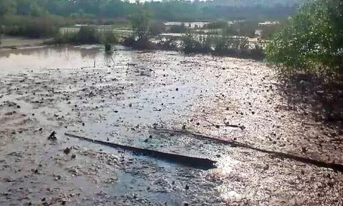 കായലിൽ നിന്ന് ഉപ്പുവെള്ളം; ദുരിതം പേറി ജനം