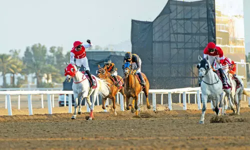 ബർകയിൽ ആവേശമുണർത്തി കുതിരയോട്ട മത്സരം