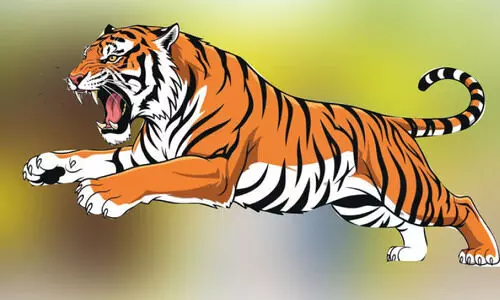 പു​ലി​പ്പേ​ടി; കാരയ്ക്കാകുഴിയിൽ കെണിക്ക് സമീപം പുലിയെത്തി