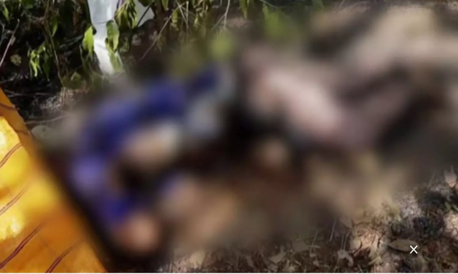 പ​റ​മ്പ് വൃ​ത്തി​യാ​ക്കു​ന്ന​തി​നി​ടെ തീ​പി​ടി​ച്ചു;   വ​യോ​ധി​ക​ന് ദാ​രു​ണാ​ന്ത്യം