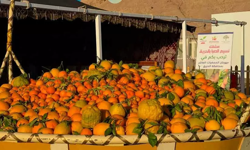 ഹരീഖ് ഓറഞ്ചുത്സവത്തിന് കൊടിയേറി; മധുരനഗരിയിലേക്ക് സന്ദർശക പ്രവാഹം ഹരീഖ് ഓറഞ്ചുത്സവത്തിന് കൊടിയേറി; മധുരനഗരിയിലേക്ക് സന്ദർശക പ്രവാഹം