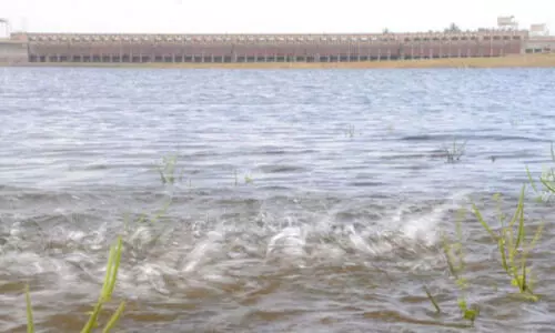 കെ.​ആ​ർ.​എ​സ് അ​ണ​ക്കെ​ട്ടി​ലെ കൈ​യേ​റ്റം: സ​ർ​വേ ഉ​ട​ൻ ആ​രം​ഭി​ക്കും