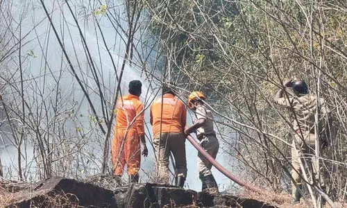 എരുമപ്പെട്ടി കുന്നിൻപറമ്പിൽ അഗ്നിബാധ എരുമപ്പെട്ടി കുന്നിൻപറമ്പിൽ അഗ്നിബാധ