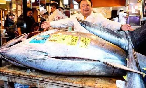 29 കോടി വിലയുള്ള ട്യൂണ മത്സ്യം; റെക്കോഡ് വിലക്ക് സ്വന്തമാക്കിയത് ടോക്യോയിലെ റസ്റ്ററന്‍റ്