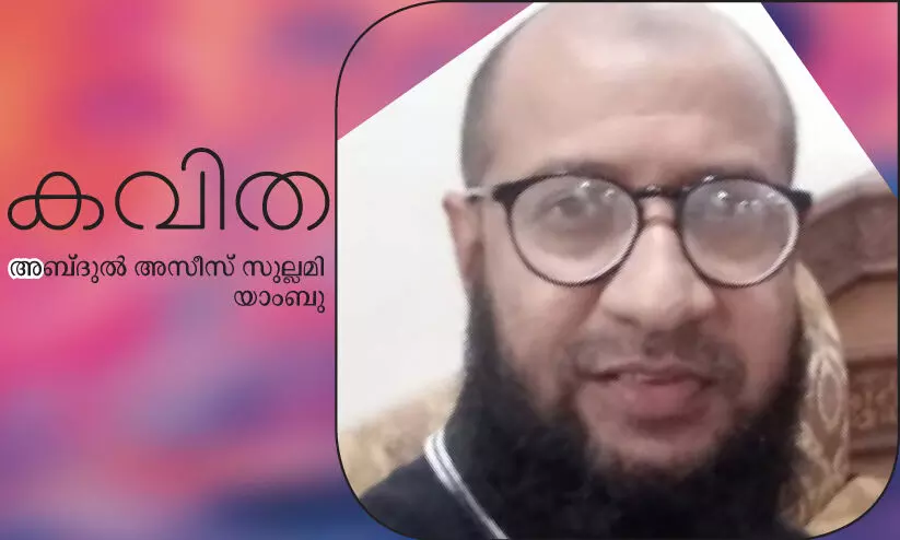 മരിച്ചവരുടെ വരികൾ മരിച്ചവരുടെ വരികൾ