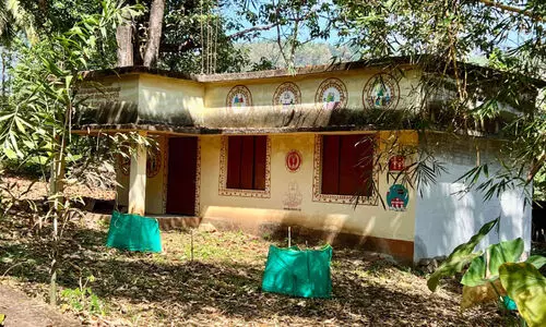 പകൽ വിടുമല്ല ഹെൽത്ത് സെൻററുമല്ല; കാടുമൂടി സ്‌കൂൾ വളപ്പിലെ പഞ്ചായത്ത് കെട്ടിടം
