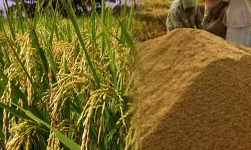 പിടിവാശി ഉപേക്ഷിച്ചു; മില്ലുടമകൾ നെല്ല് സംഭരണത്തിന് തയാർ