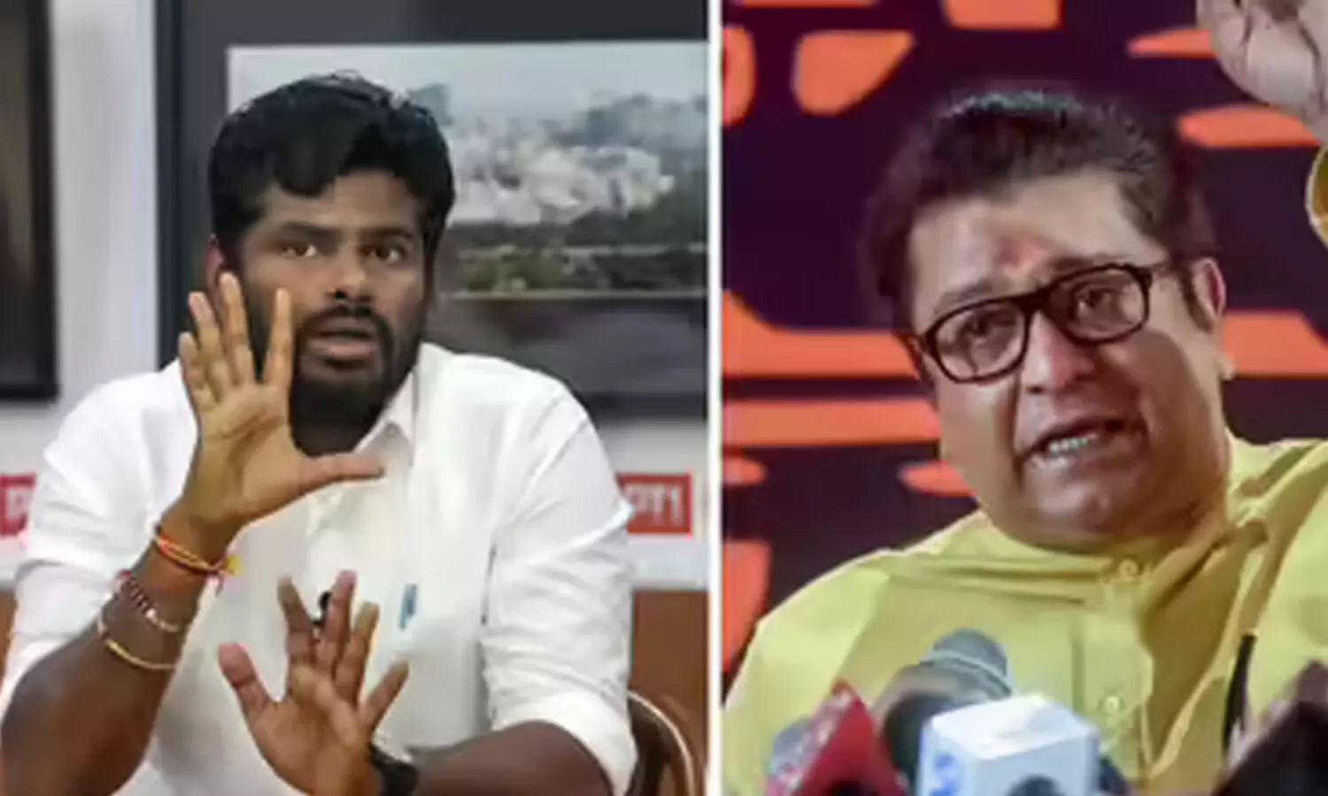 ‘മുബൈയിൽ എത്തും, കാൽ വെട്ടിക്കളയാൻ ശ്രമിക്കൂ’; രാജ് താക്കറെയെ വെല്ലുവിളിച്ച് അണ്ണാമലൈ