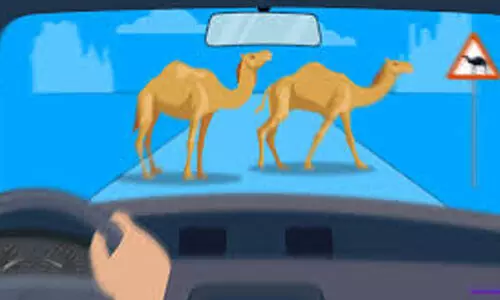 representative image representative image