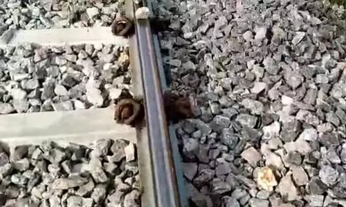 റെയിൽവേ ട്രാക്കിൽ കല്ലുവെച്ചതിന് നാല് കുട്ടികൾക്കെതിരെ നിയമ നടപടി