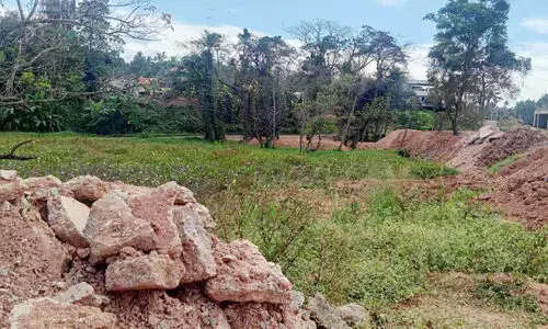 ദേശീയപാത ബൈപ്പാസ് മേഖലയിൽ വ്യാപക വയൽ നികത്തൽ