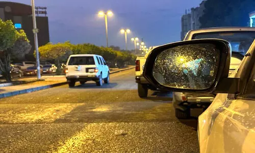 നാ​ളെ മു​ത​ൽ ത​ണു​പ്പ് വ​ർ​ധി​ക്കും  ഇ​ന്ന് ചി​ത​റി​യ മ​ഴ, പൊ​ടി​ക്കാ​റ്റ്