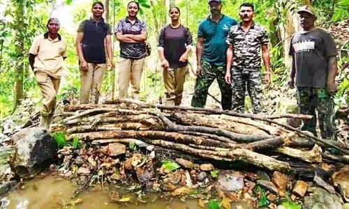 വന്യജീവികൾക്ക് കുടിവെള്ളം: നിർമിച്ചത് 25 ചെക്ക് ഡാമുകൾ