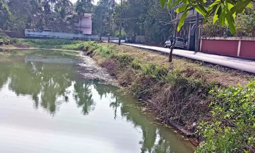 ചിറയിൽ വീഴാതെ നോക്കണേ...