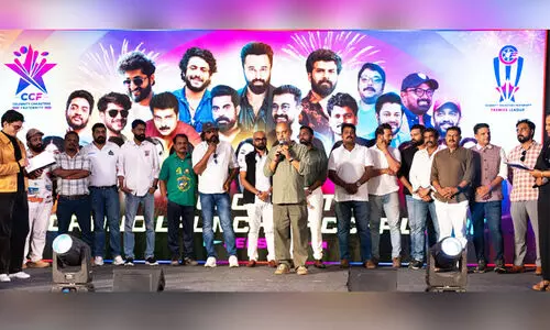 CCF Season 2 Cricket