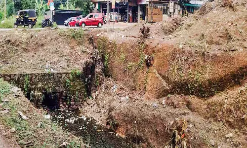 കനാൽ വെള്ളമെത്തി; ഒപ്പം മാലിന്യവും