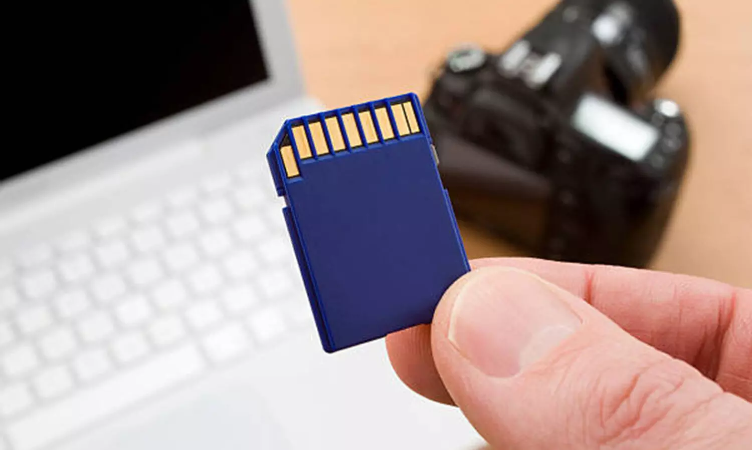 നടി ആക്രമണ കേസിലെ മെമറി കാർഡ് പരിശോധന: രണ്ട് പേർക്കെതിരെ അച്ചടക്ക നടപടി