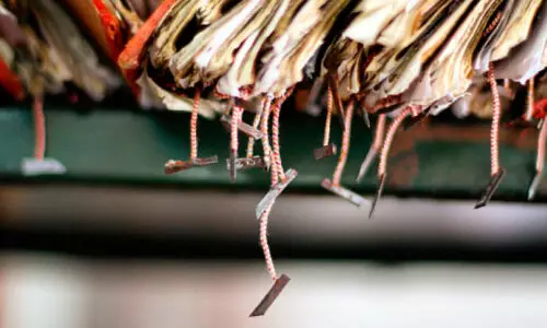 ജില്ല പഞ്ചായത്തിൽ പെർഫോമൻസ് ഓഡിറ്റ് പരാമർശമുള്ള ഫയലുകൾ കാണാനില്ല