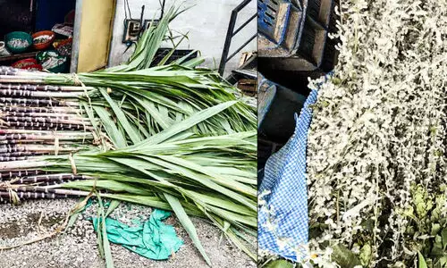 തൈപ്പൊങ്കൽ ഇന്ന്: തമിഴ്ജനത ഒരുങ്ങി