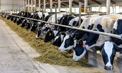 Representation image