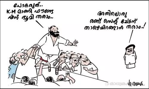 മാണി ഫൗണ്ടേഷൻ