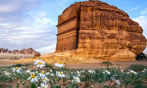അൽഉലയുടെ പ്രകൃതി സംരക്ഷിക്കാൻ കർശന നടപടി