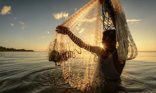 മീൻപിടിക്കുന്നതിനിടെ മൂർഖൻ പാമ്പുകൾ വലയിൽ കുടുങ്ങി