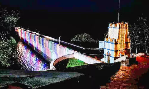 പെന്നി ക്വിക്കിന്‍റെ പിറന്നാൾ ആഘോഷിച്ച് തമിഴ് ജനത