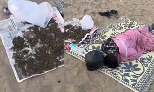 കോഴിക്കോട് ബീച്ചിൽ കഞ്ചാവ് ഉണക്കാനിട്ട് കൂടെ പായ വിരിച്ച് കിടന്നുറങ്ങി; യുവാവ് പിടിയിൽ