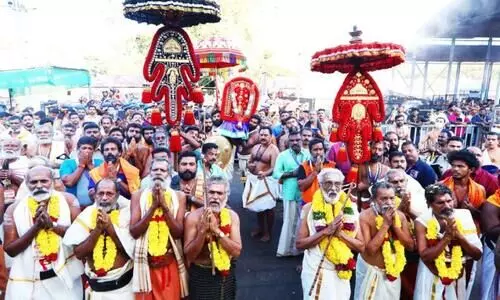 ഭക്തിസാന്ദ്രമായി അമ്പലപ്പുഴ, ആലങ്ങാട് സംഘങ്ങളുടെ ശീവേലി എഴുന്നള്ളത്ത്