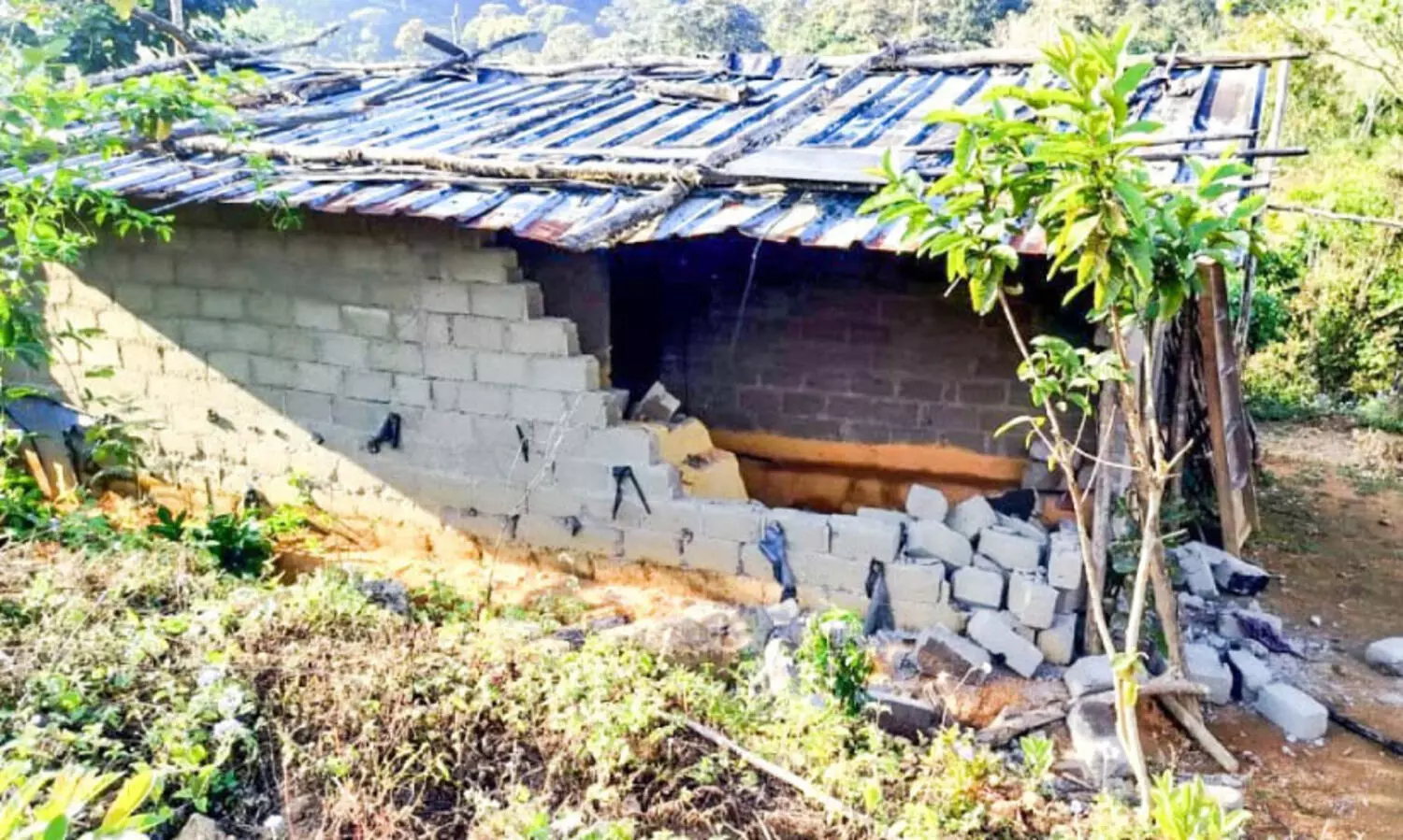 ഇടമലക്കുടിയിൽ നാശംവിതച്ച്​ കാട്ടാനകൾ