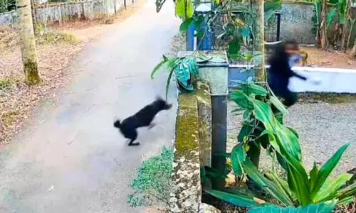 വളർത്തുനായ് കടിച്ചു വിദ്യാർഥിനിക്ക് പരിക്ക്