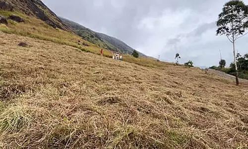 320 ഏ​ക്ക​ർ സ​ർ​ക്കാ​ർ ഭൂ​മി അ​ന​ധി​കൃ​ത​മാ​യി കൈ​മാ​റ്റം ചെ​യ്തു