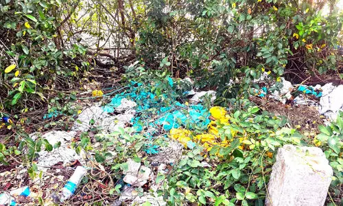 കണ്ടൽക്കാടുകൾക്കിടയിൽ മാലിന്യം തള്ളുന്നു