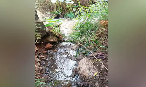 തുമ്പിച്ചാലിലേക്ക് വിഷമാലിന്യം ഒഴുക്ക്​ തകൃതി