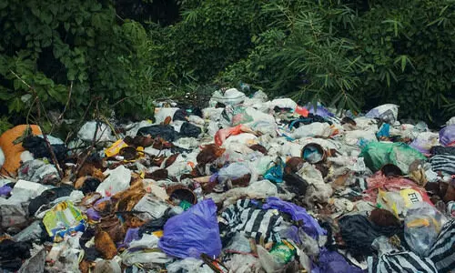 പരമ്പരാഗത കാനനപാത; വനത്തിൽനിന്ന്​​ പുറത്താക്കിയത്​ 2,400 കിലോ പ്ലാസ്റ്റിക്​ മാലിന്യം