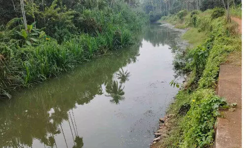ബാലുശ്ശേരി കോട്ടനട ടൂറിസം പദ്ധതിക്ക് ഭരണാനുമതി