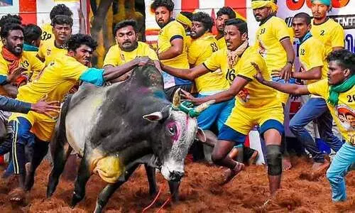 ജെല്ലിക്കെട്ടിൽ മികച്ച പ്രകടനം കാഴ്ച വെക്കുന്നവർക്ക് സർക്കാർ ജോലി നൽകുമെന്ന് എം.കെ സ്റ്റാലിൻ